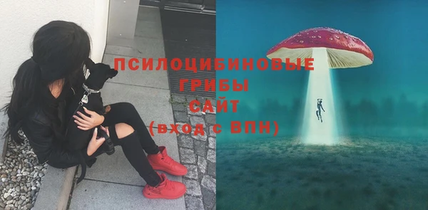 мдма Богородск