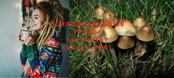 винт Белоозёрский