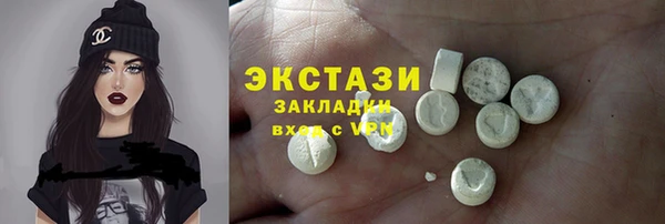 крисы Богородицк