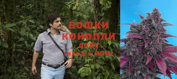 mdpv Бронницы