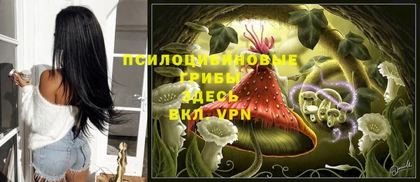 дмт Гусиноозёрск