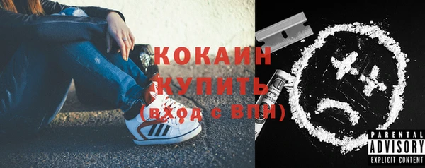 крисы Богородицк