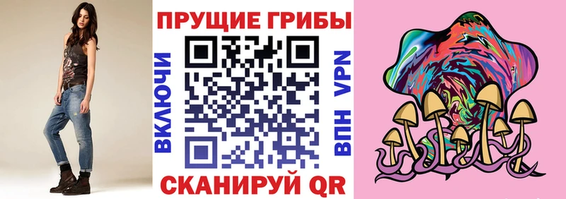 где продают наркотики  Бикин  Псилоцибиновые грибы MAGIC MUSHROOMS 